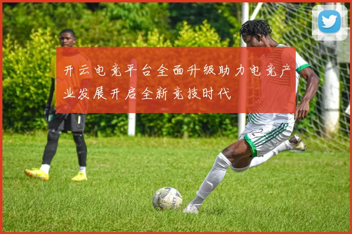 开云电竞平台全面升级助力电竞产业发展开启全新竞技时代