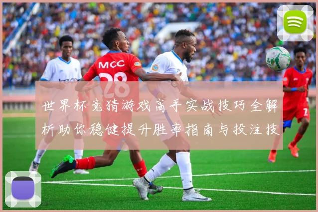 世界杯竞猜游戏高手实战技巧全解析助你稳健提升胜率指南与投注技巧