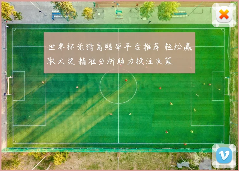 世界杯竞猜高赔率平台推荐 轻松赢取大奖 精准分析助力投注决策