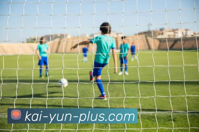 开云平台展示图