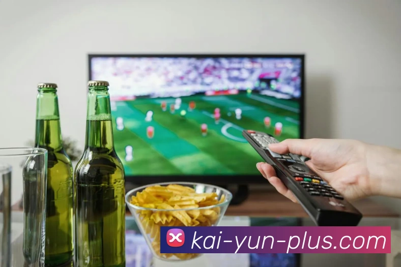 开云官网全站App